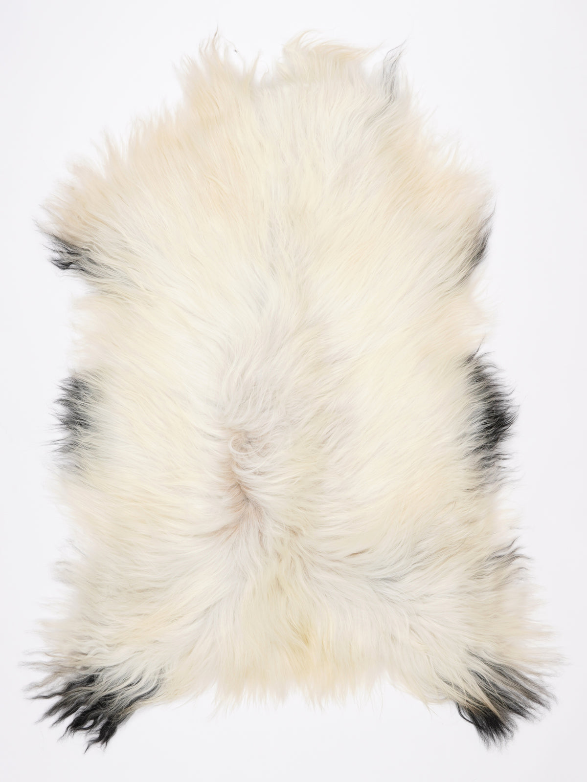 NU00088