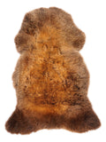NR00016