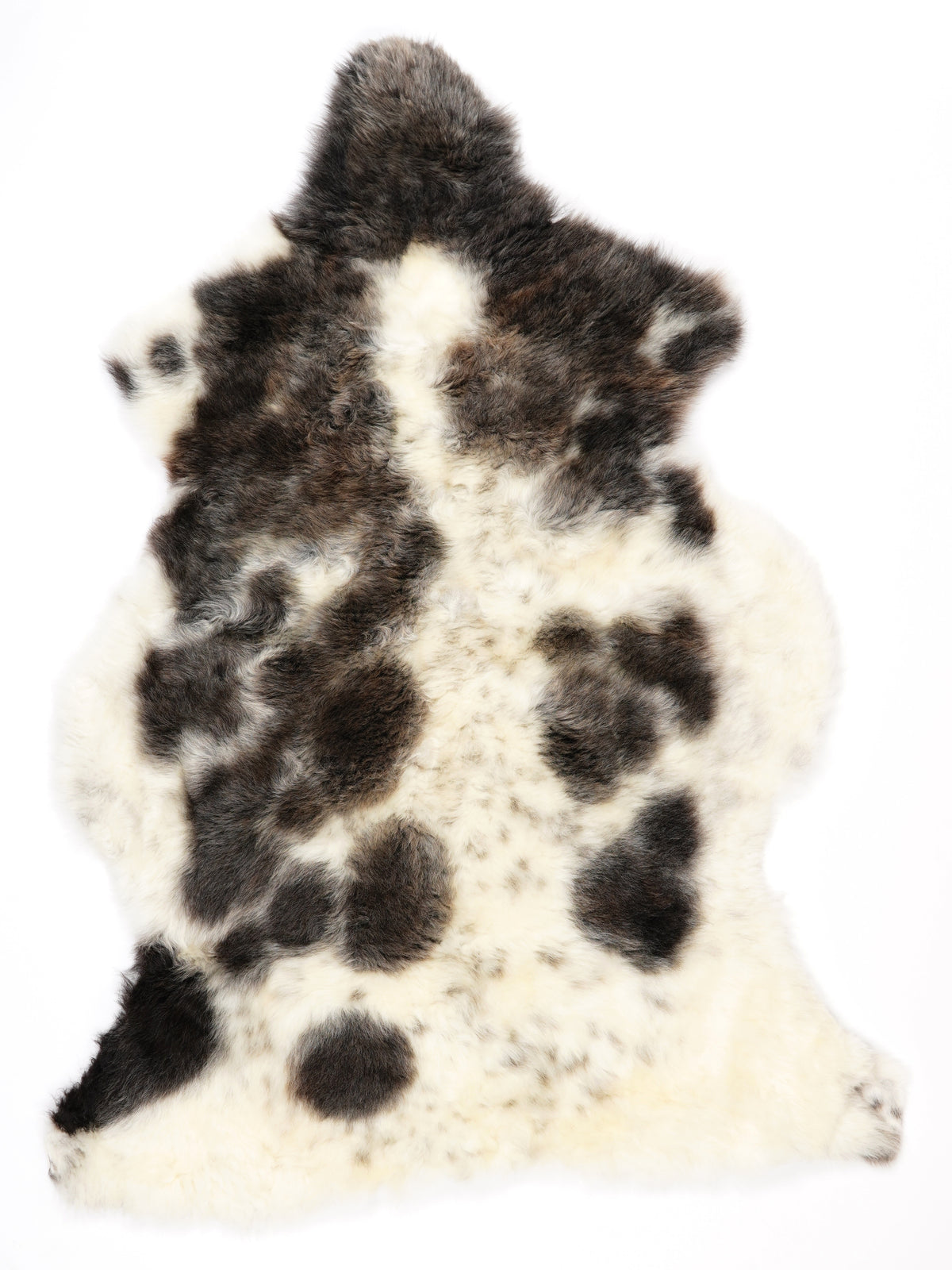 NC00097