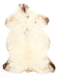 MN00017