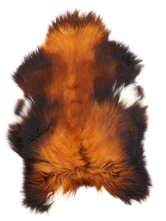 MS00090