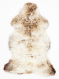 OR00032