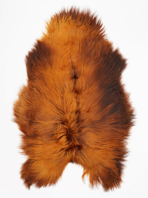 OX00040
