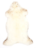 MN00024