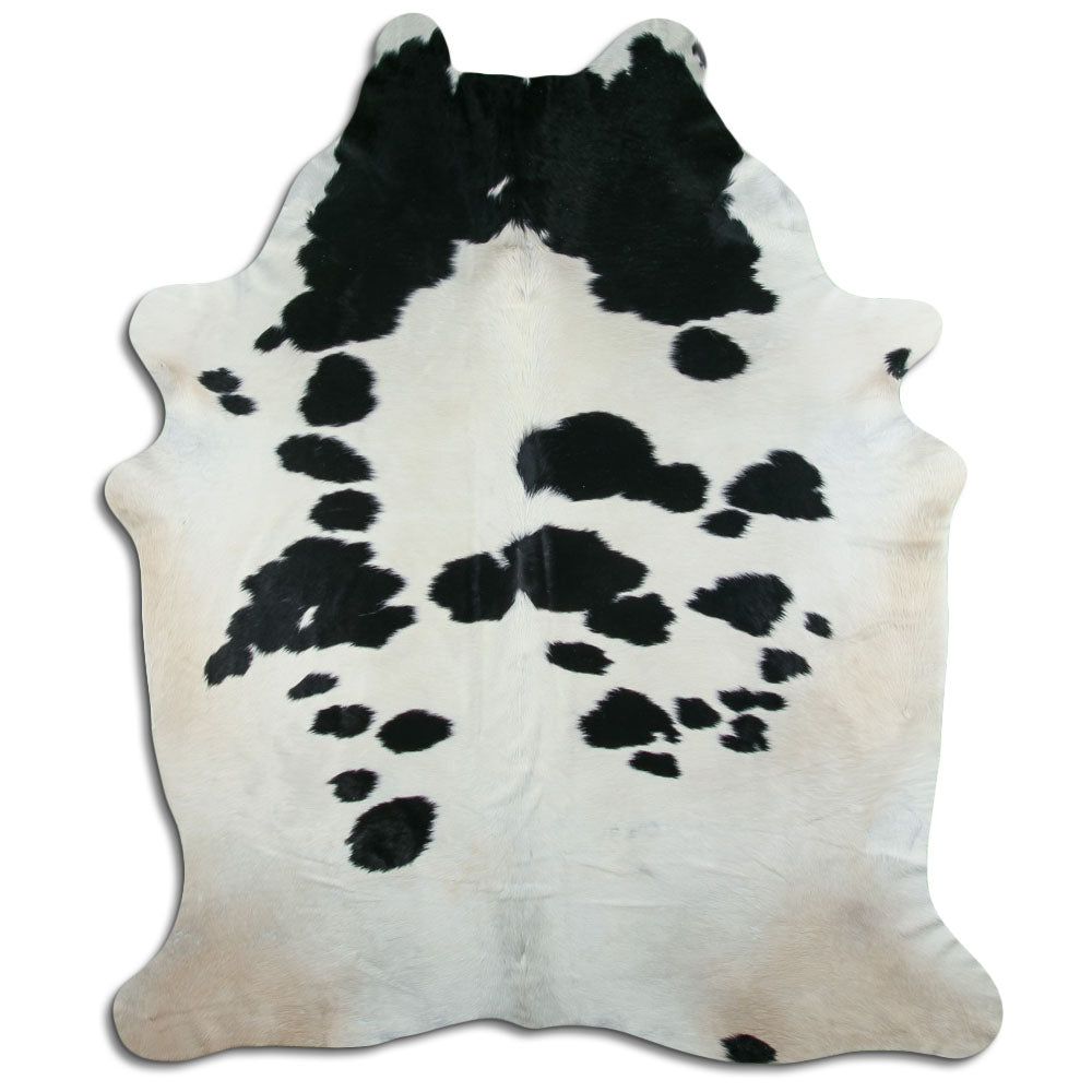 Peau de vache noire et blanche XXXL