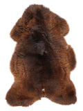 NT00013