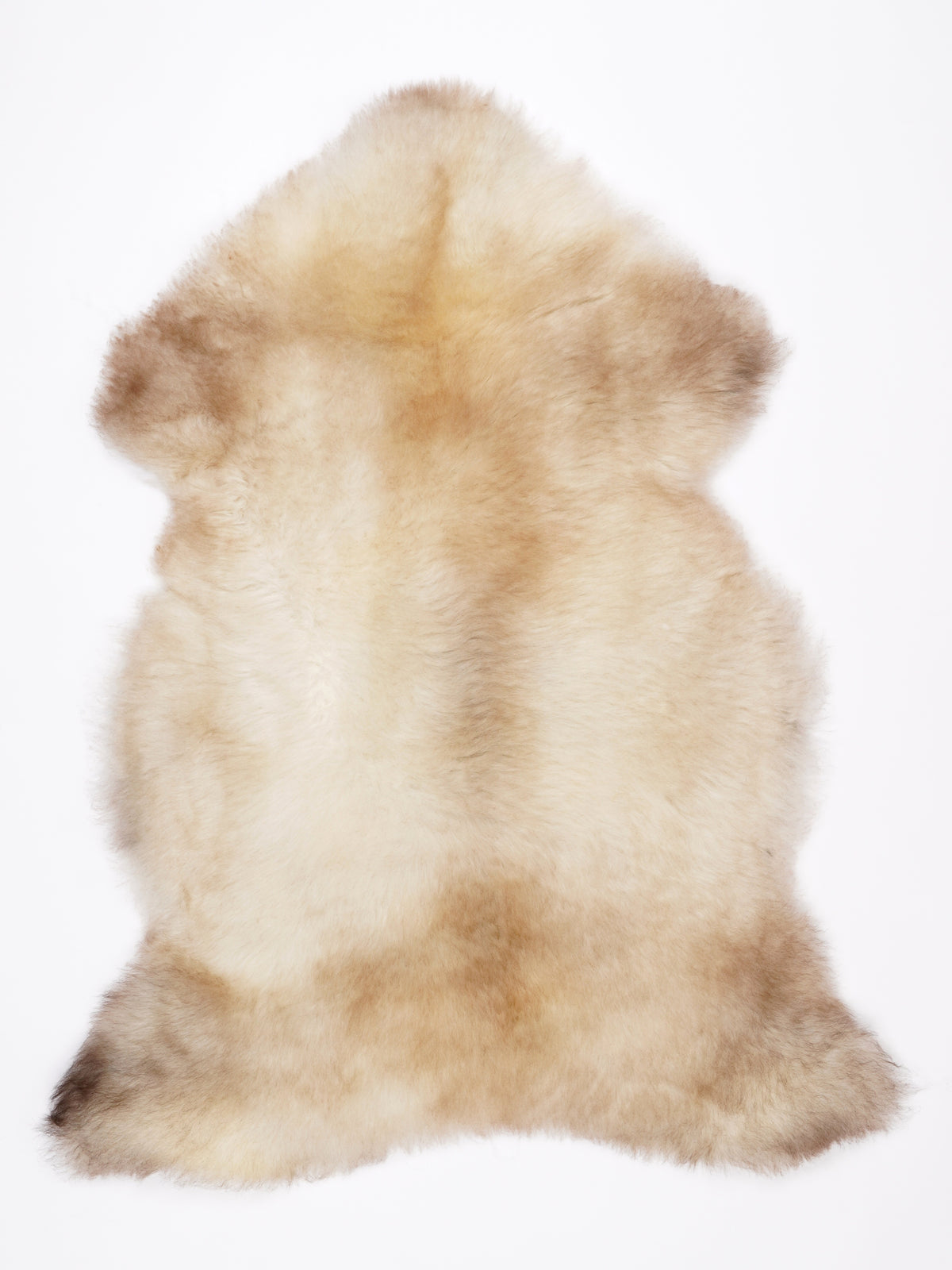 NW00088