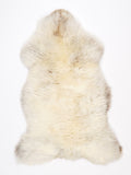 NG00024