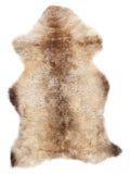 NR00061