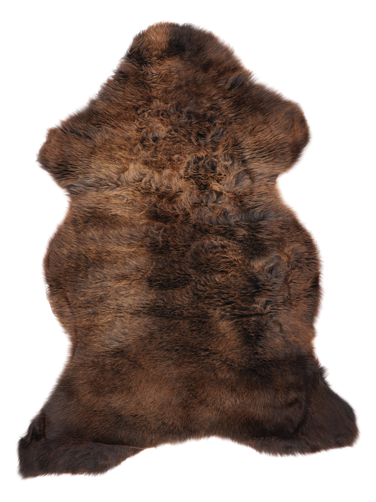 NM00031