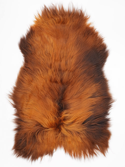 OX00043