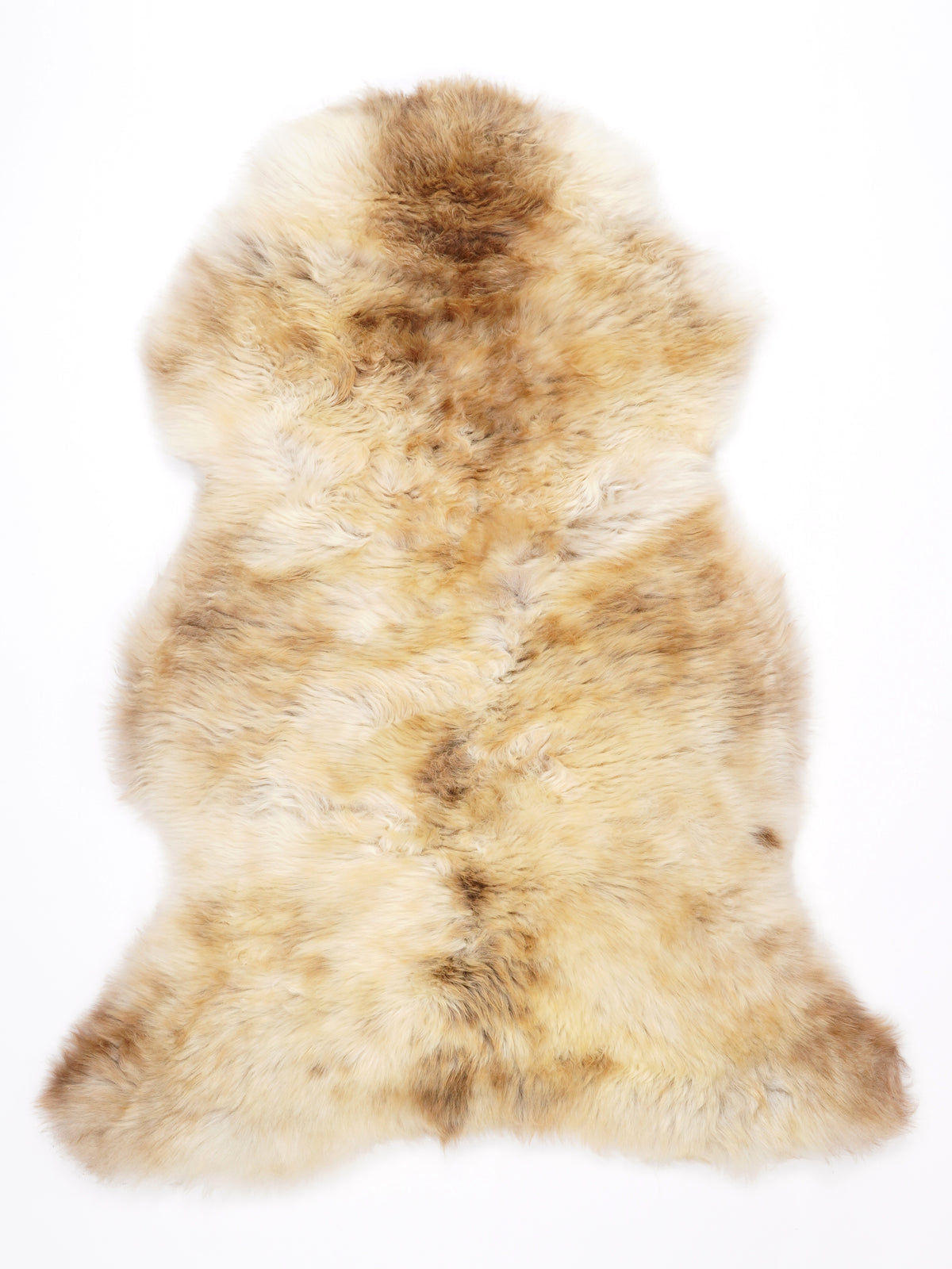MZ00018