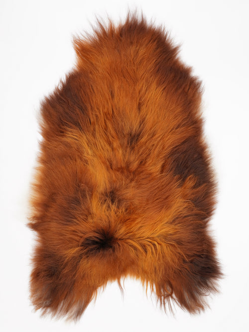 OX00045