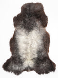 OR00039