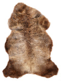MM00064