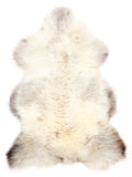 NC00013