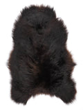 NL00031