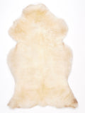 NG00028