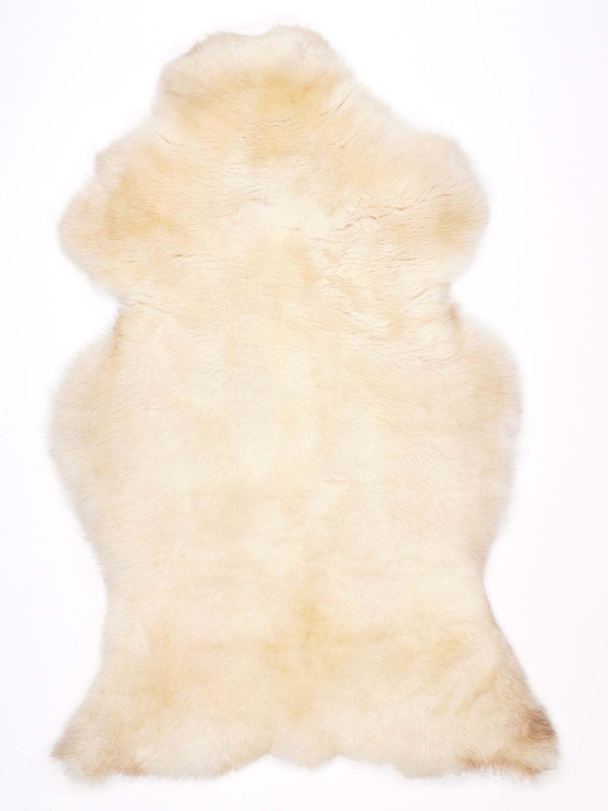 NG00028