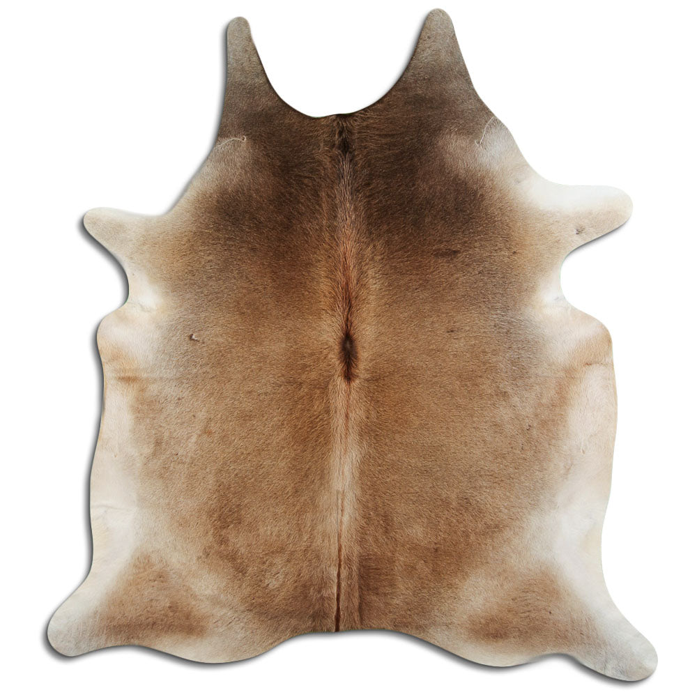 Peau de vache Tan Grey XXL
