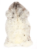 NC00094