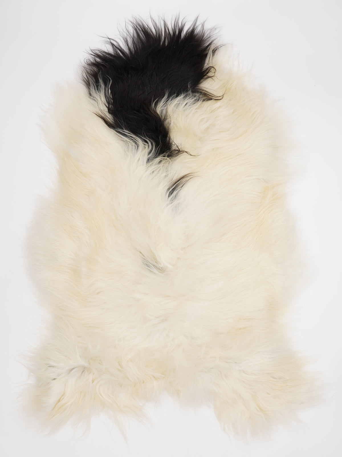OR00005