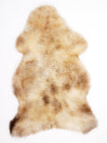 ME00022