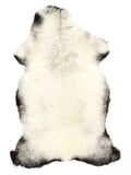NC00100