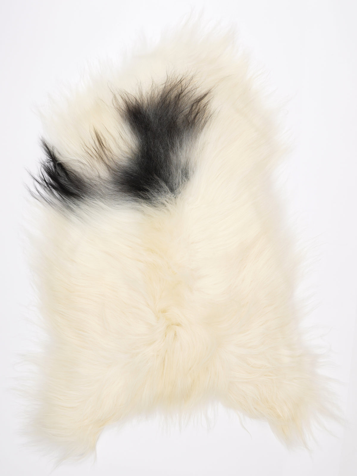 MO00028