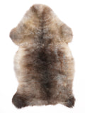 ML00071