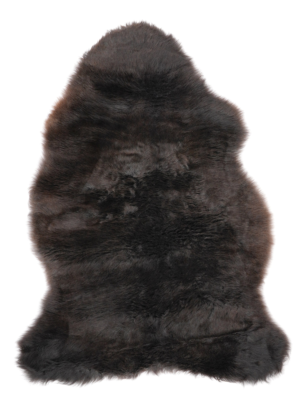 NM00049