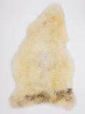 OE00027