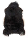 MT00056