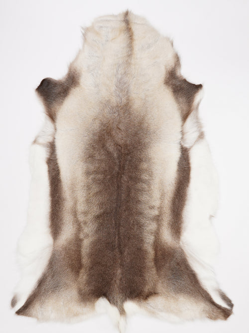OX00029