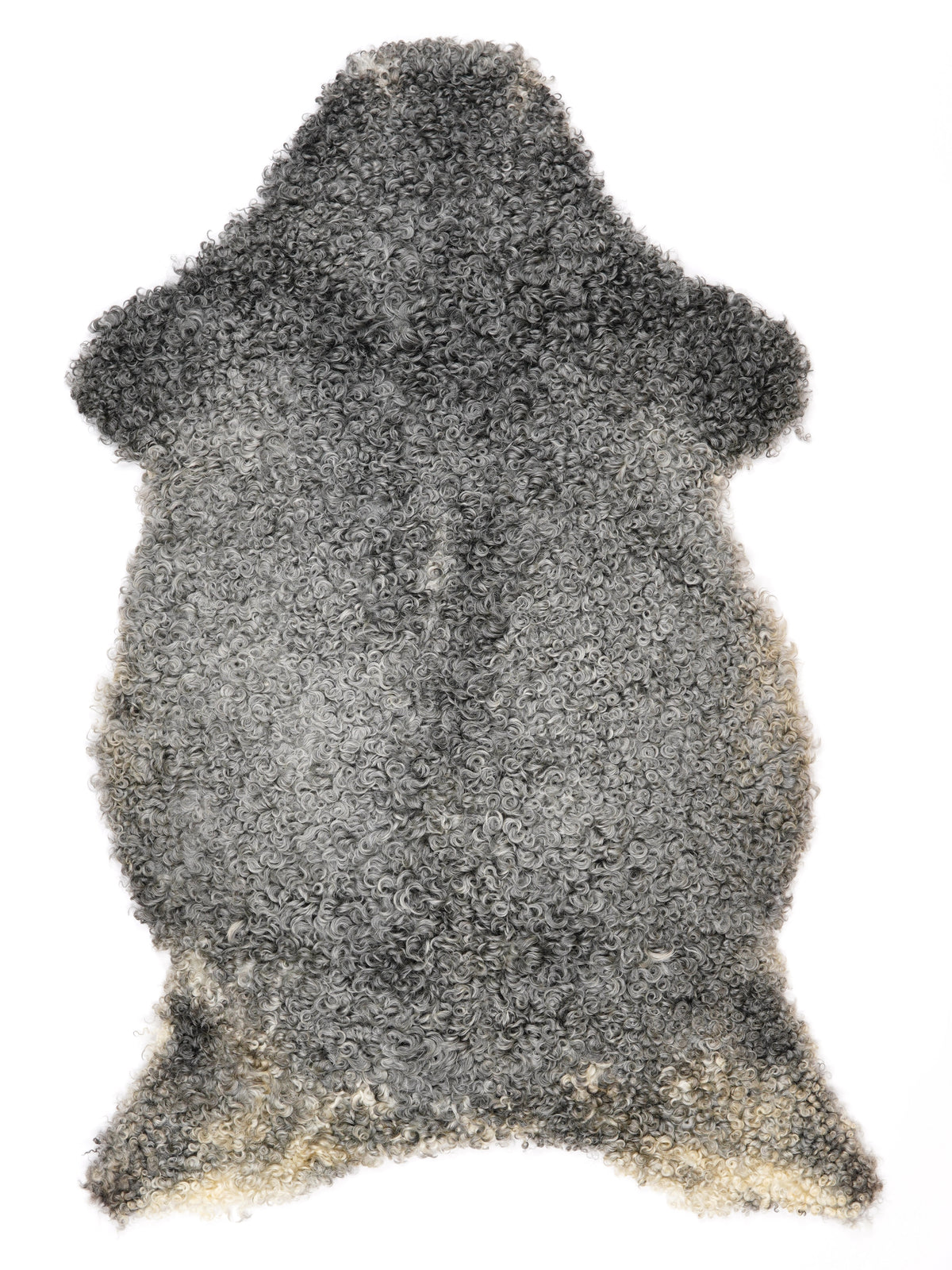NQ00017