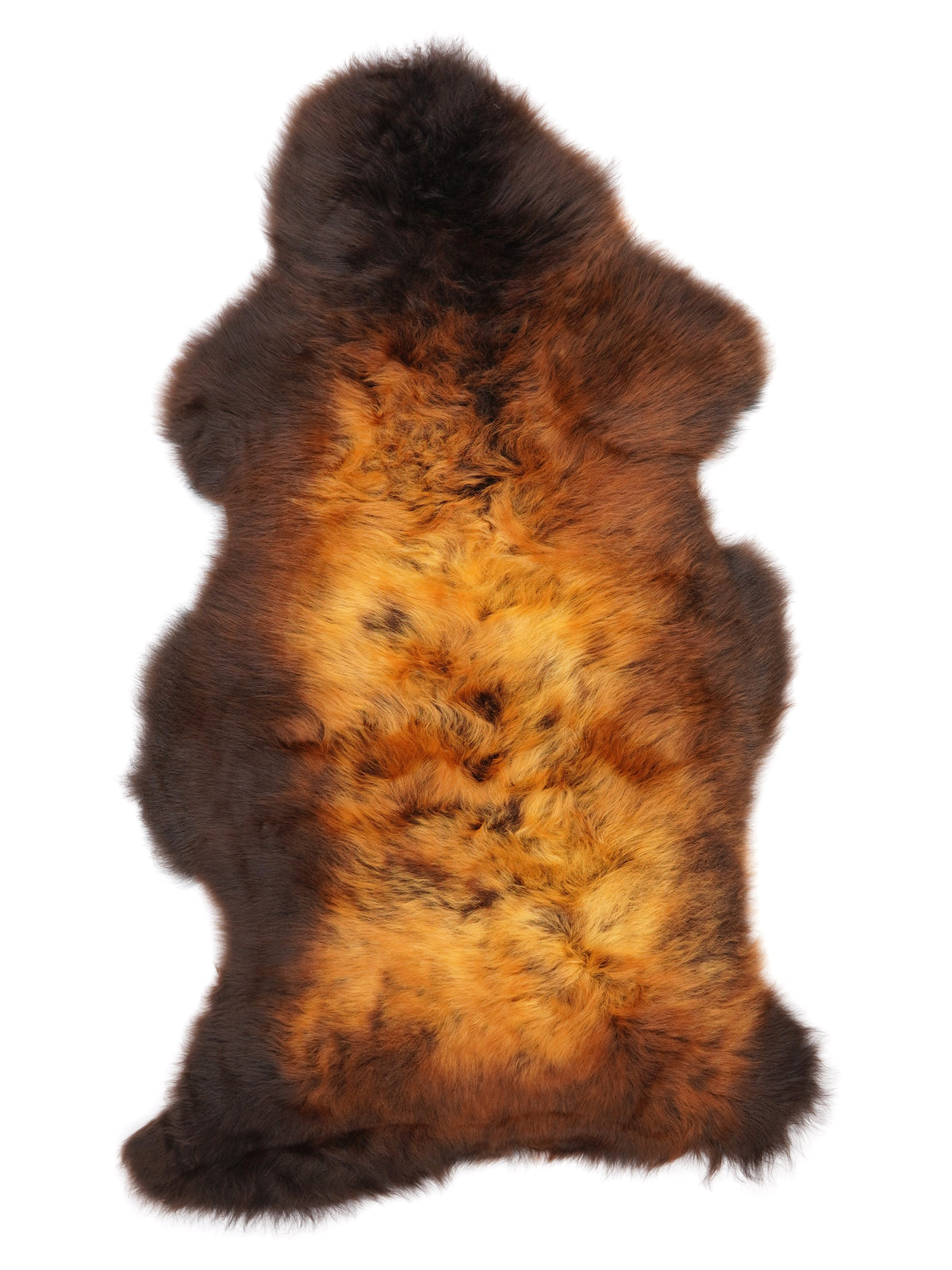 NA00041