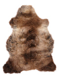 NM00029