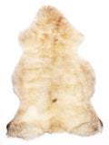 NA00025