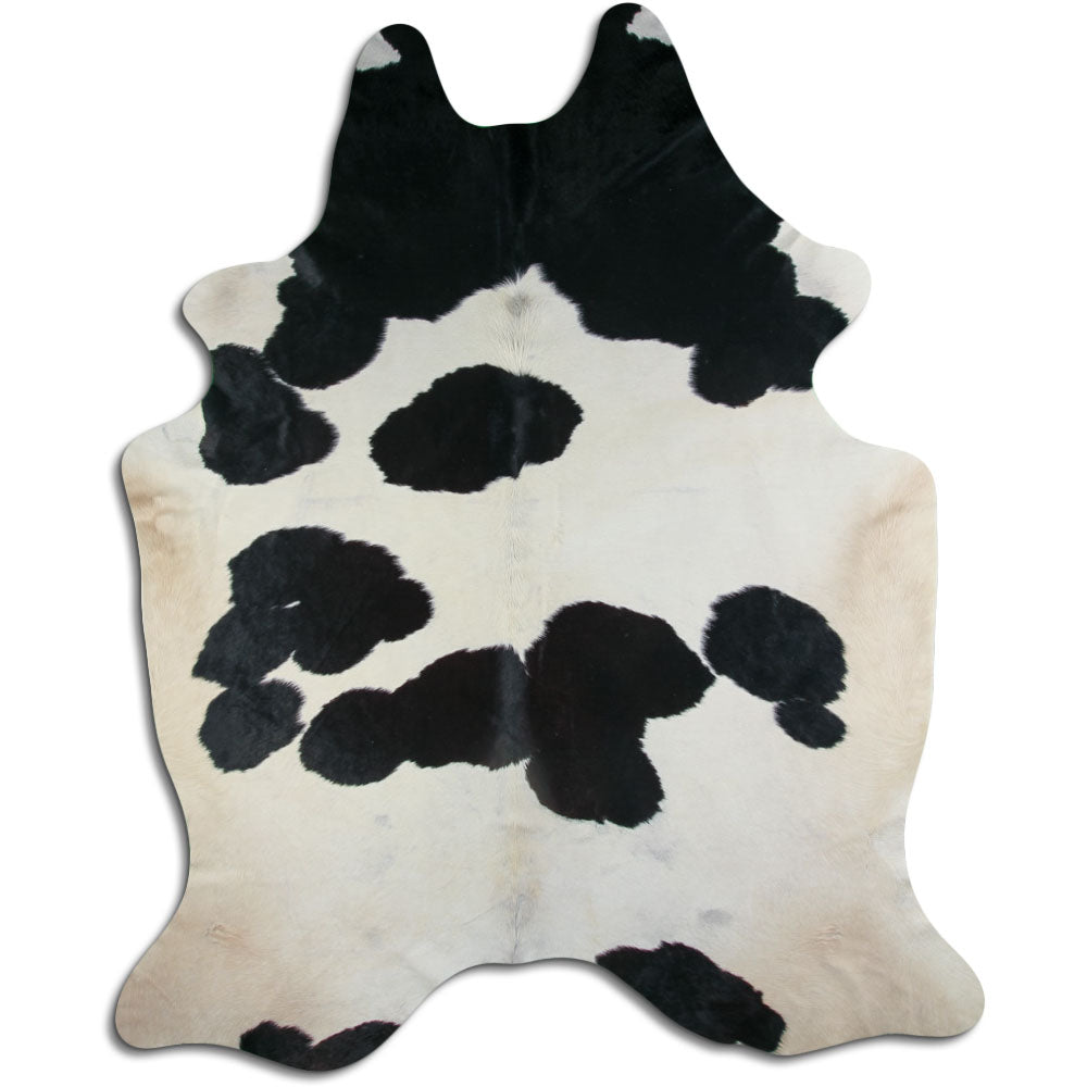 Peau de vache noire et blanche XXXL