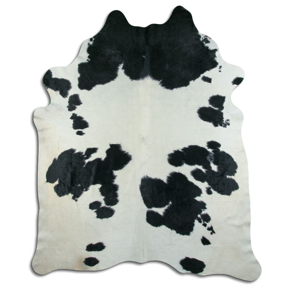 Peau de vache noire et blanche XXXL