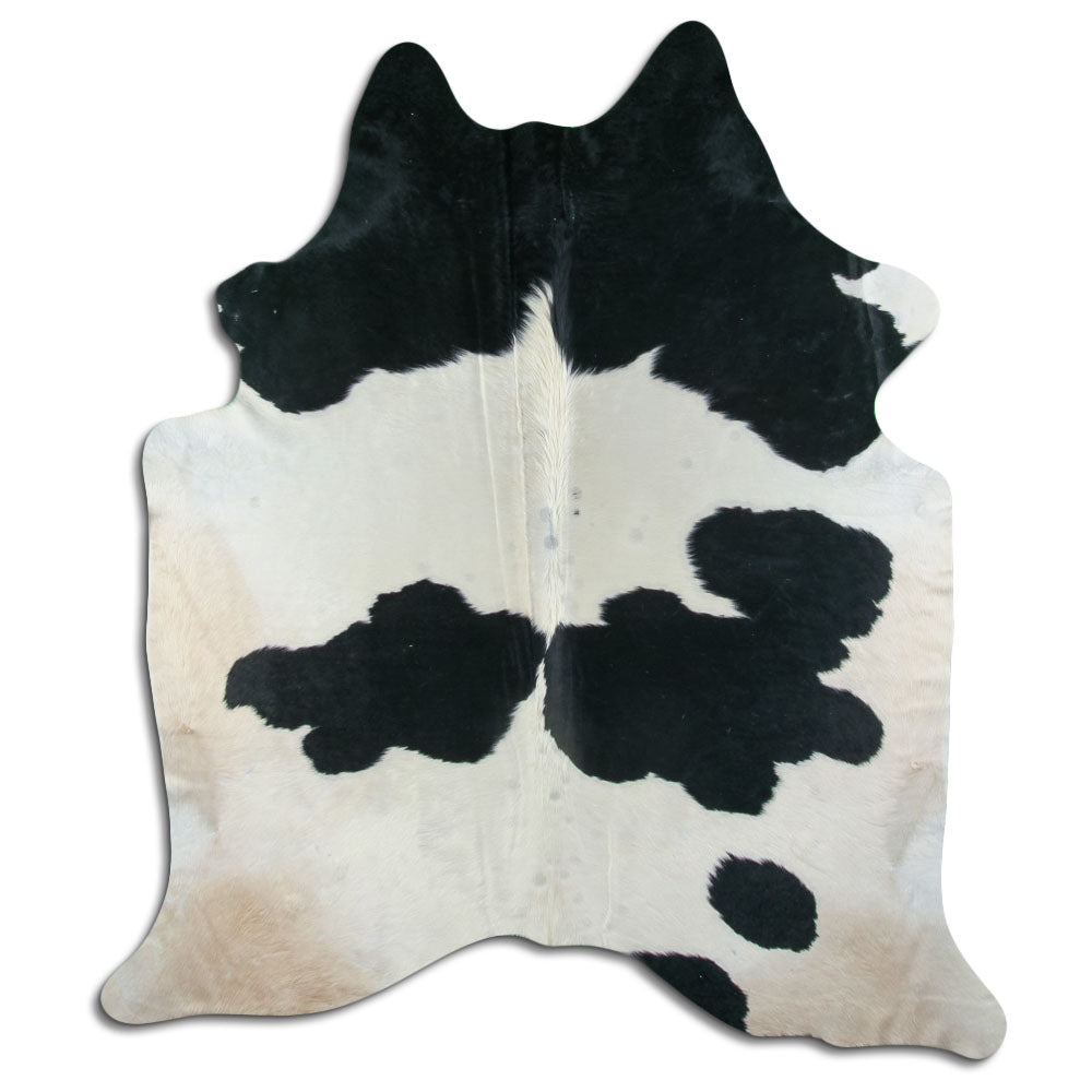 Peau de vache noire et blanche XXL