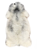 NC00029