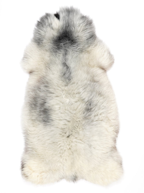 NC00029