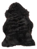 NM00034