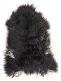 MC00060