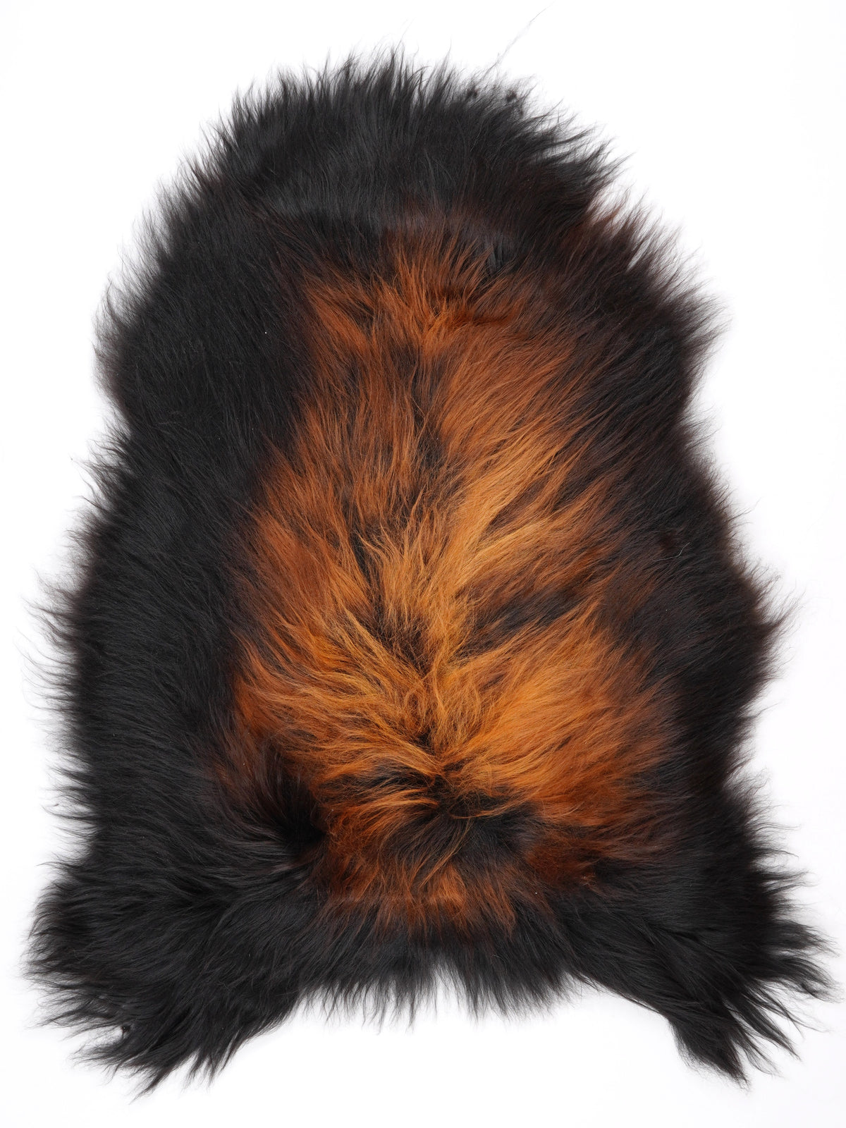 NW00017