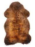NE00047