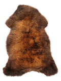 NE00046
