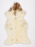 NR00098