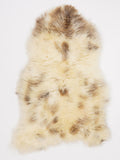OR00049